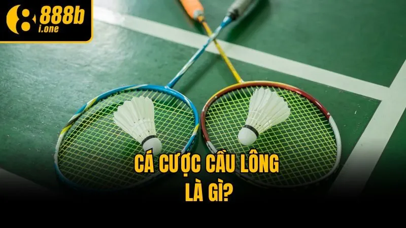 Cá cược cầu lông là gì?