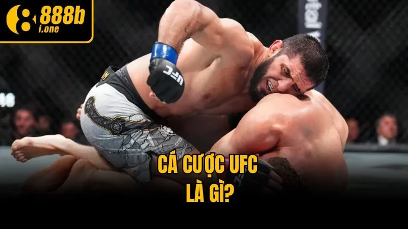 Cá cược UFC là gì?