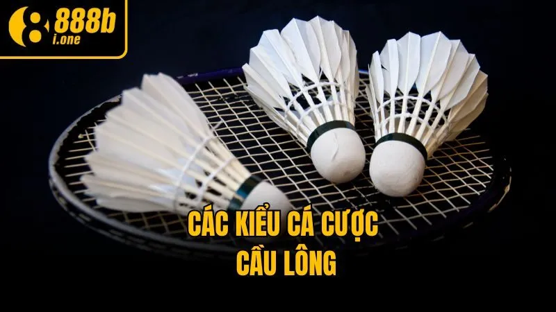 Các kiểu cá cược cầu lông