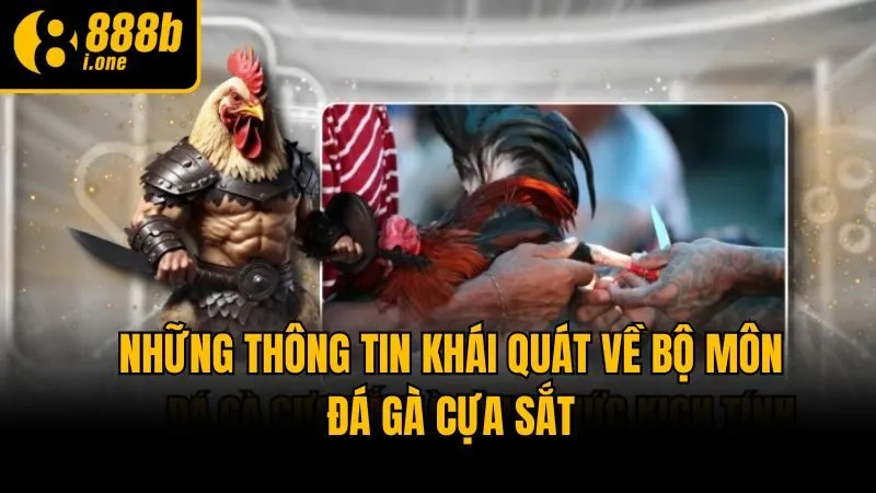 Những thông tin khái quát về bộ môn đá gà cựa sắt